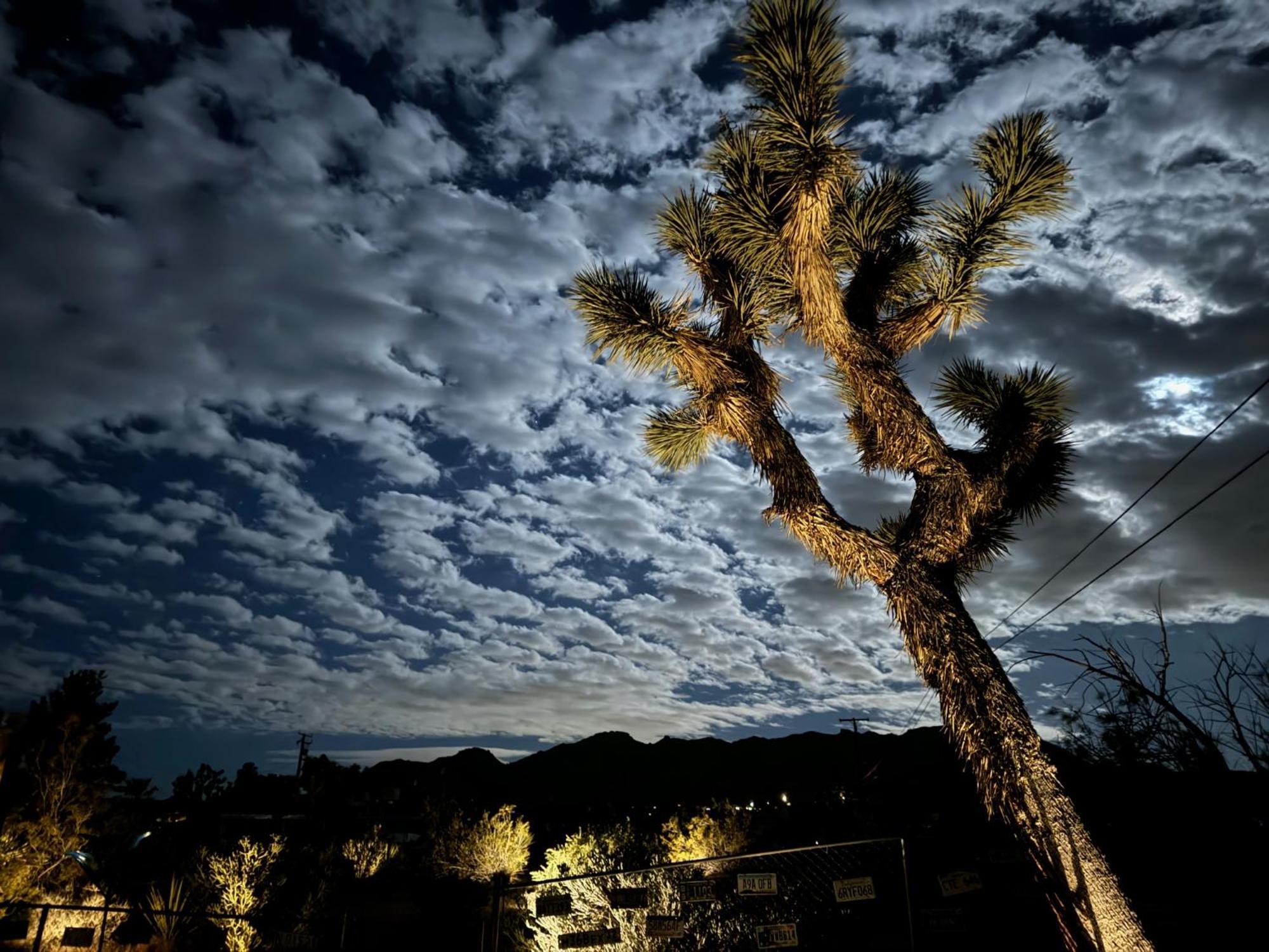 Float Pool, Hot Tub, Sauna, Views, Telescope-Skywatchers Haven Joshua Tree Buitenkant foto