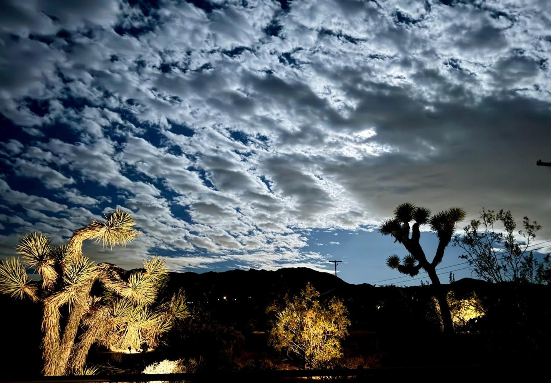 Float Pool, Hot Tub, Sauna, Views, Telescope-Skywatchers Haven Joshua Tree Buitenkant foto