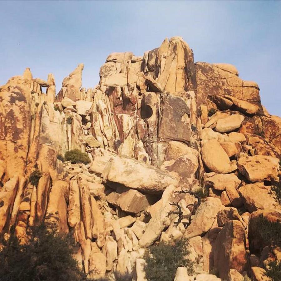 Float Pool, Hot Tub, Sauna, Views, Telescope-Skywatchers Haven Joshua Tree Buitenkant foto